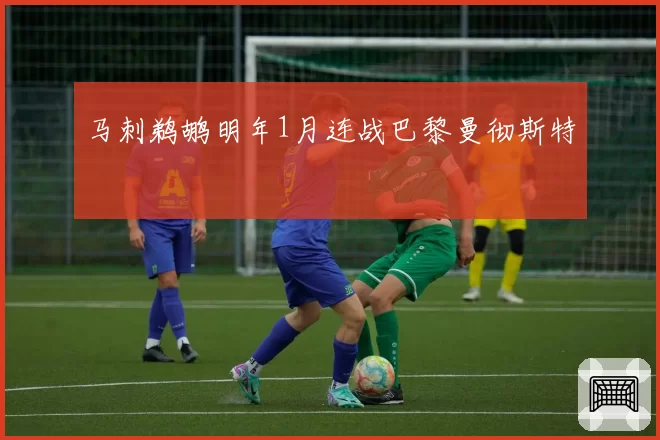 马刺鹈鹕明年1月连战巴黎曼彻斯特